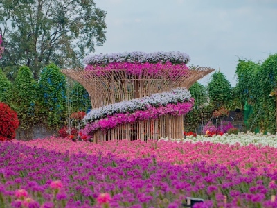 Lavish outdoor flower garden with mounds of colorful flowers and unique wooden structures.