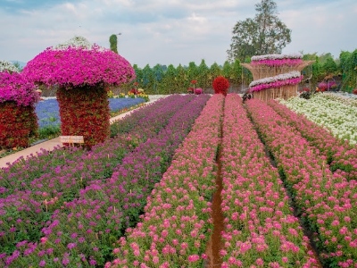 Lavish outdoor garden with mounds of colorful flowers in unique mushroom-like structures.