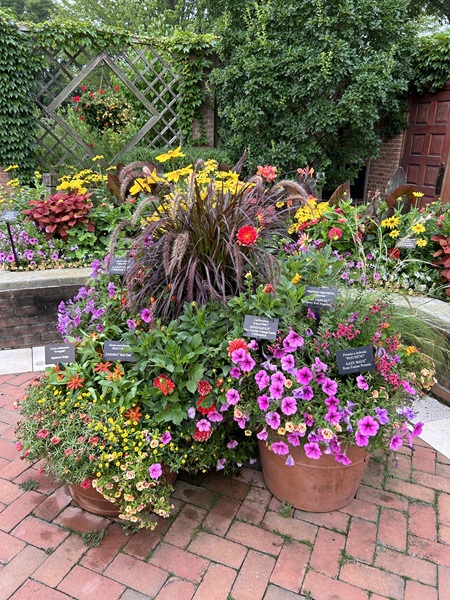 Outdoor public garden featuring Wave Petunias