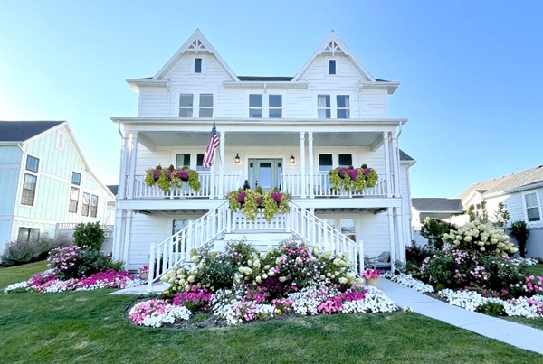 House featuring Wave Petunias in the front landscape and window boxes