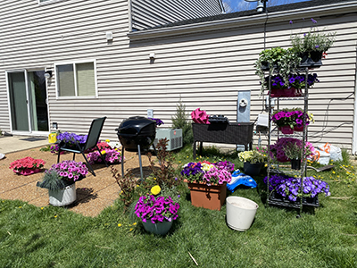 Colorful flowers on a patio ready to be planted