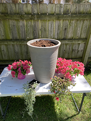Container by a fence with petunias and other flowers