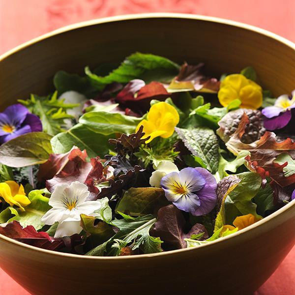 Cool Wave® Mixture Project