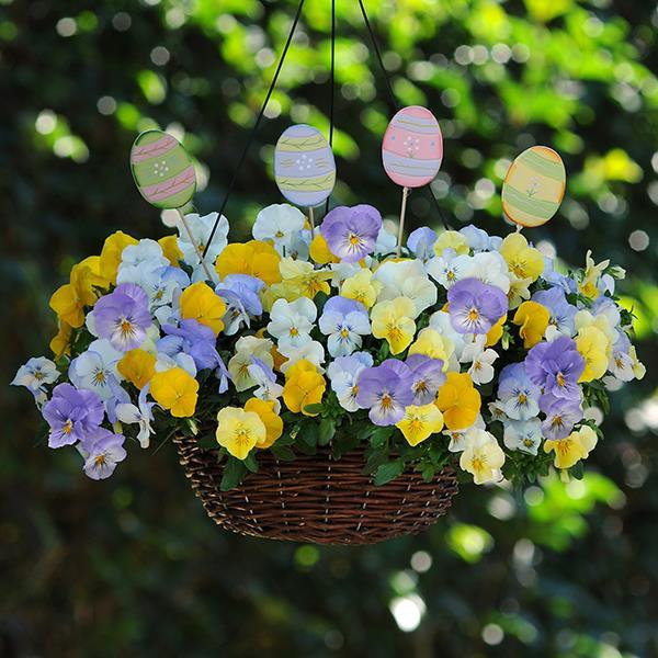 Cool Wave® Pastel Mixture Project