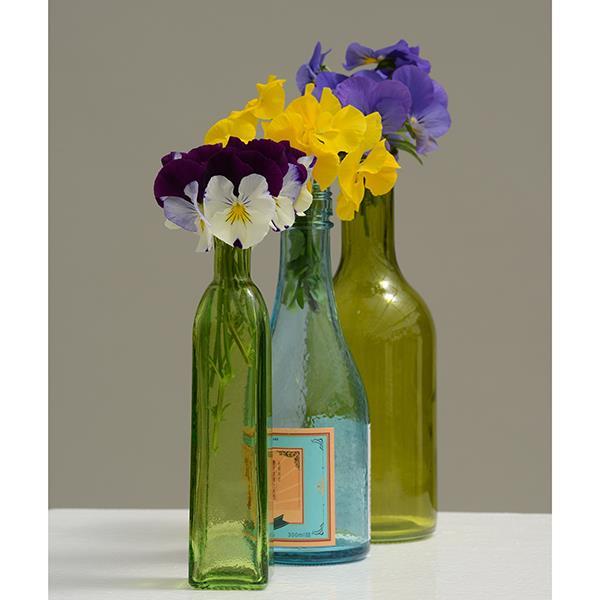 Cool Wave® Blue Skies Project