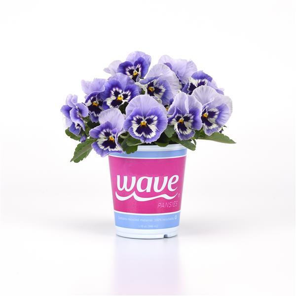 Top Wave™ Marina Pot