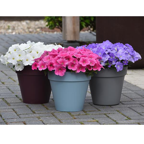 New Wave® Pink Cosmo Project