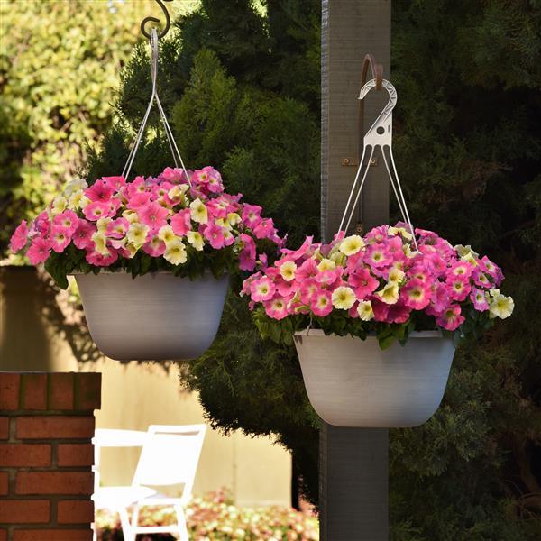 New Wave® Sweet Taffy Mixture Container 2