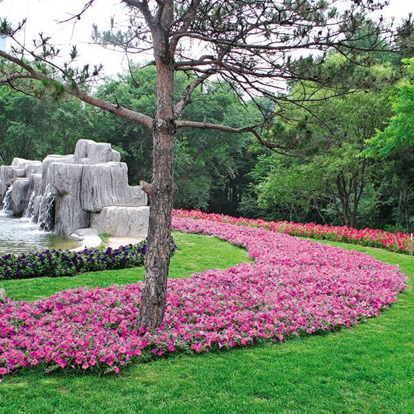 Wave® Pink Landscape