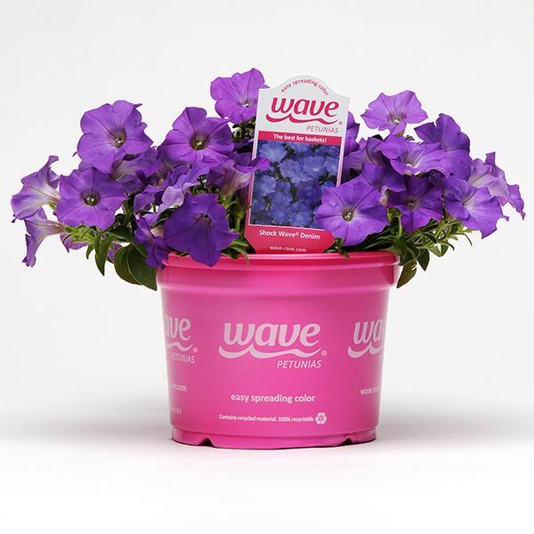 Shock Wave® Denim Pot