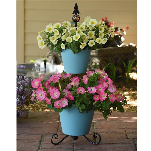 New Wave® Yellow Project