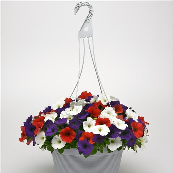 New Wave® Red White and Blue Mixture Container 1