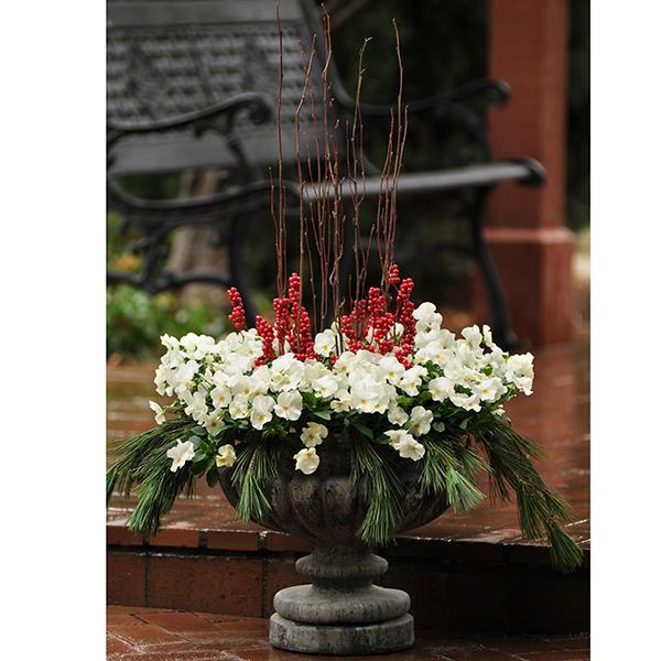 Cool Wave® White Container 2