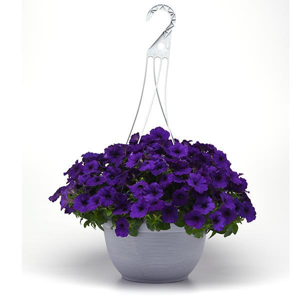 New Wave® Blue Container 1