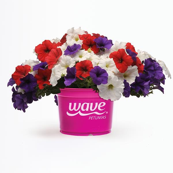 Easy Wave® The Flag Mixture Pot