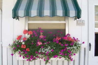 Louise, West Burlington, Iowa