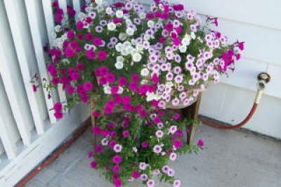 Louise, West Burlington, Iowa