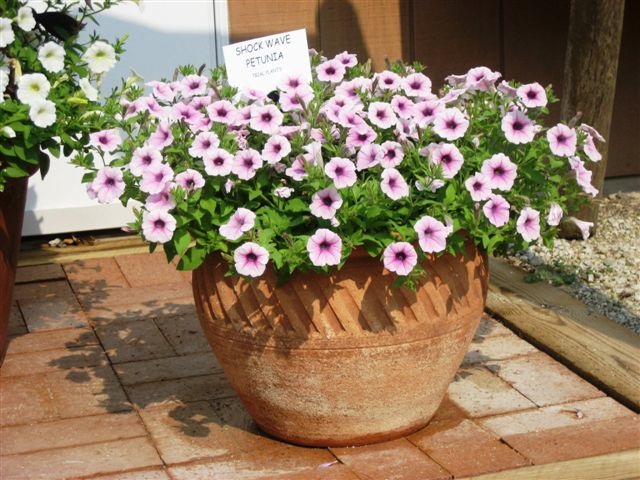 Nina, Washington, Iowa