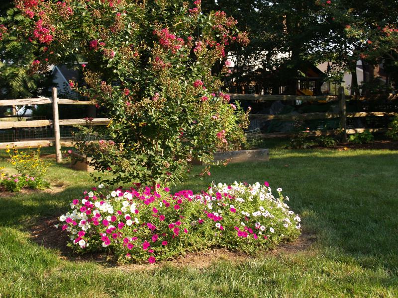 Doug, Olney, Maryland