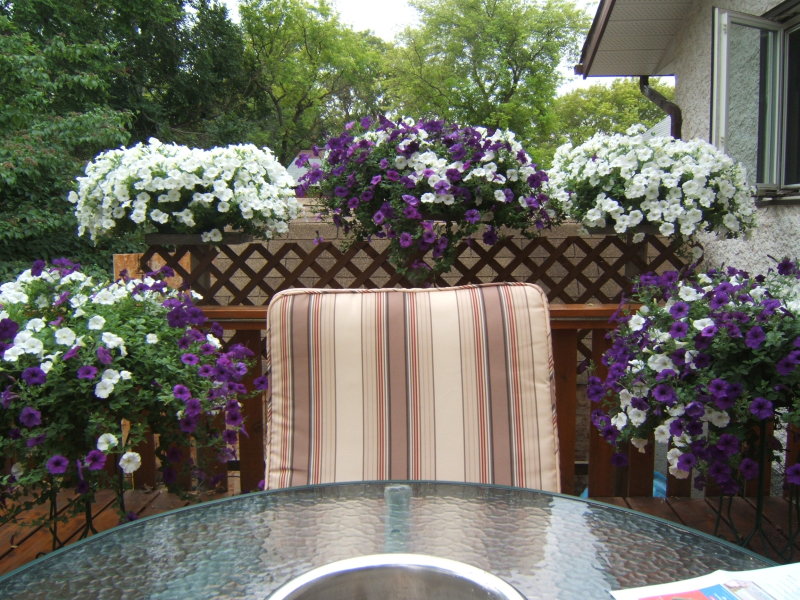 Gail, Stonewall, Manitoba