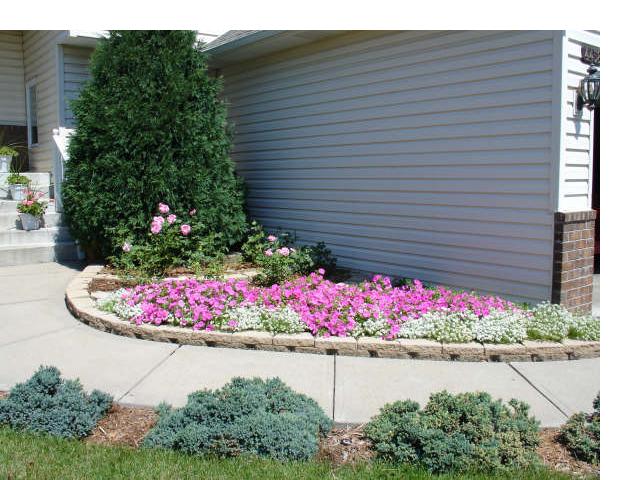 Carol, Millbrook, Illinois