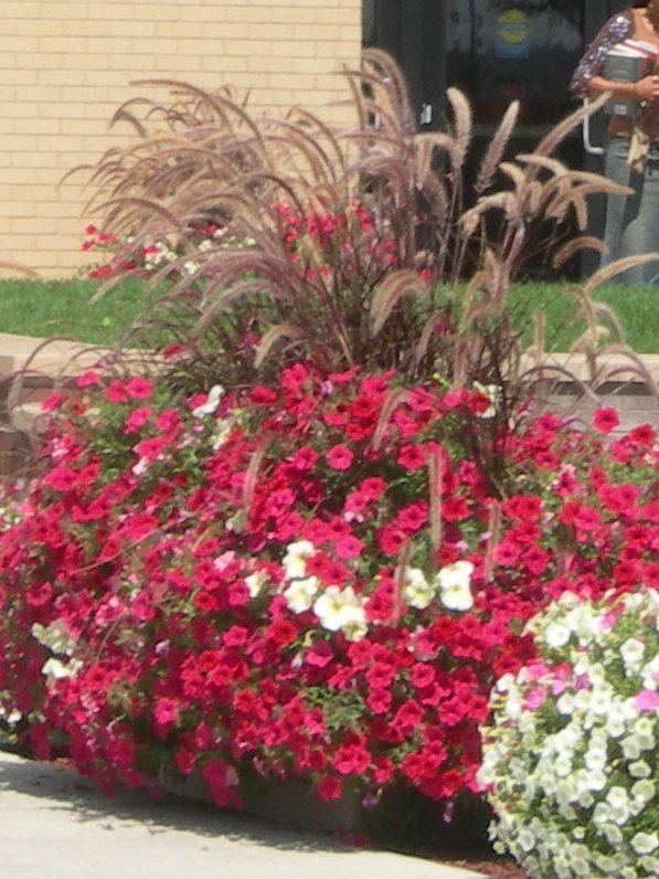 debra, broomfield, Colorado