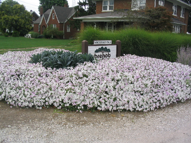 Shelly, Indianapolis, Indiana