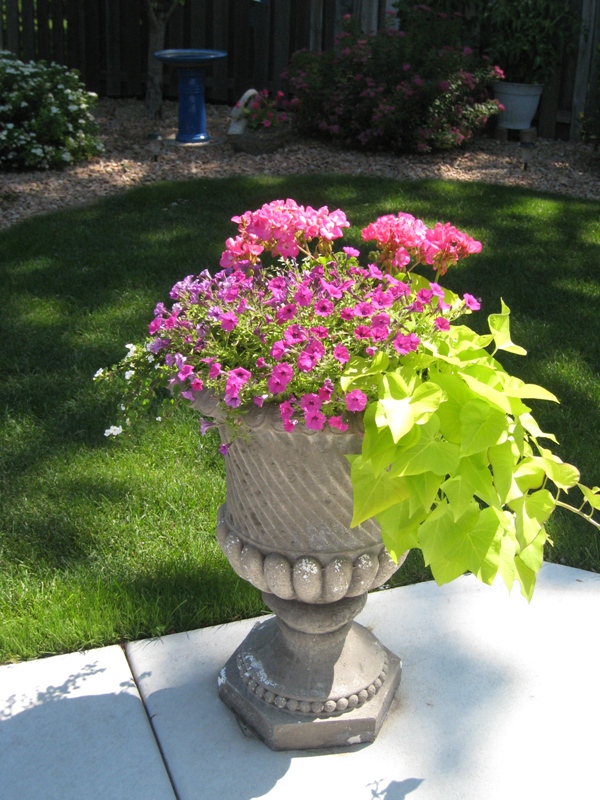 Mary Jane, Eagan, Minnesota