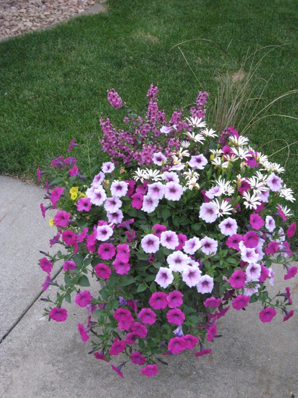 Mary Jane, Eagan, Minnesota