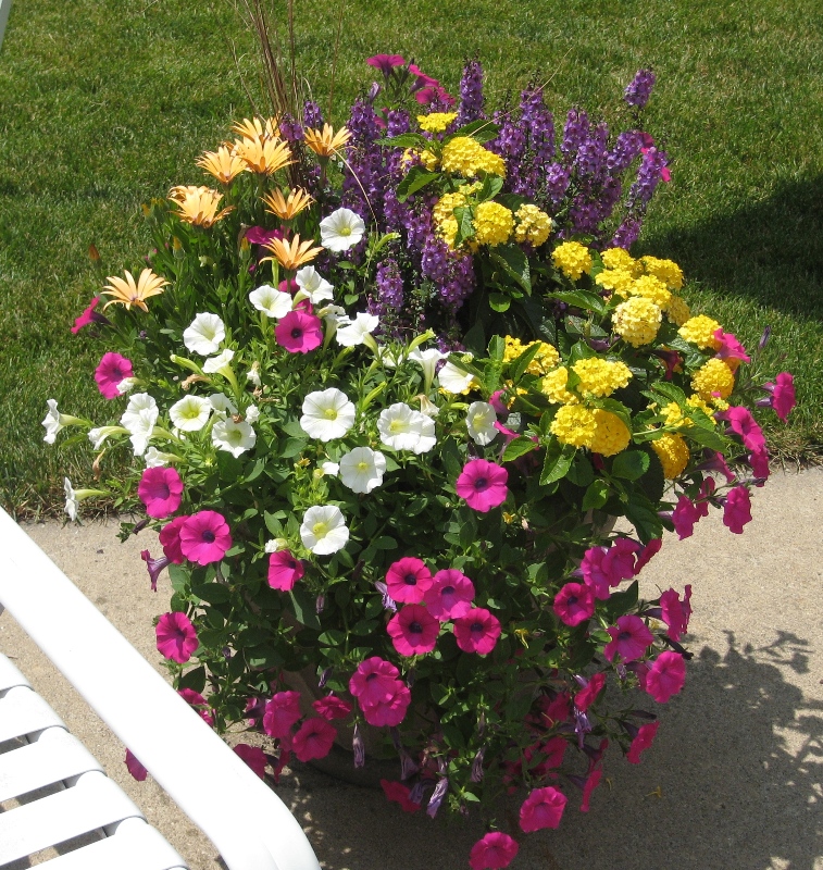 Mary Jane, Eagan, Minnesota