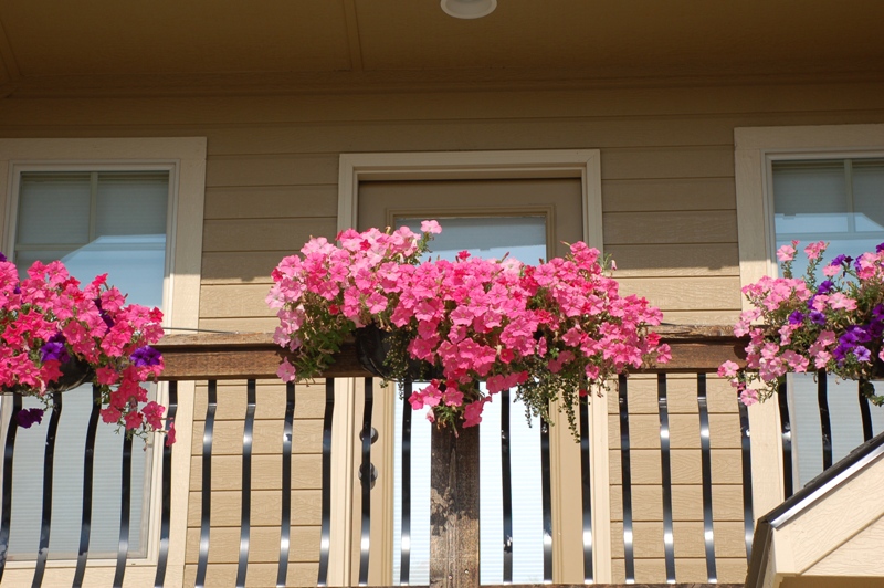 Tami, Meridian, Idaho