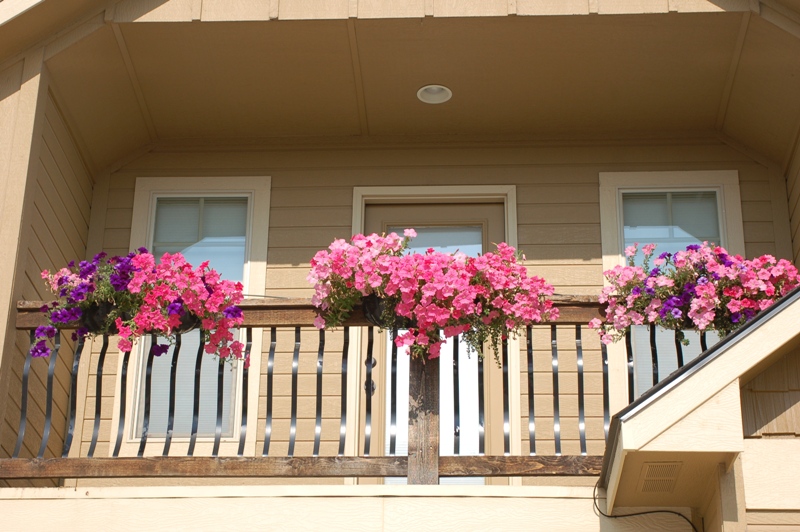 Tami, Meridian, Idaho