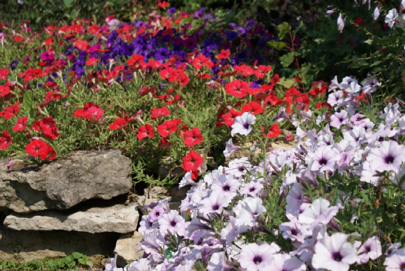 Leigh Ann, Ziosnville, Indiana