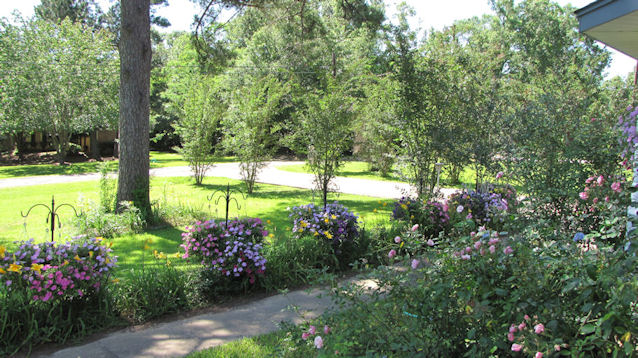 PAM, NATCHITOCHES, Louisiana