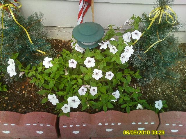 Fay, Lititz, United States