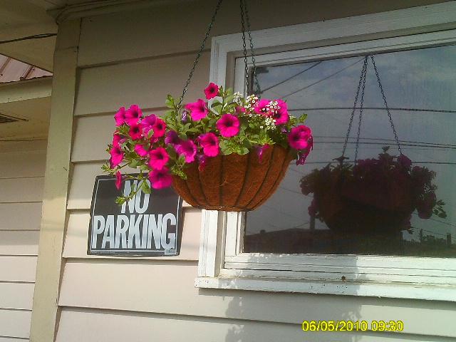 Fay, Lititz, United States