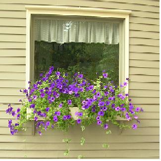 Kay, Freedom, New Hampshire