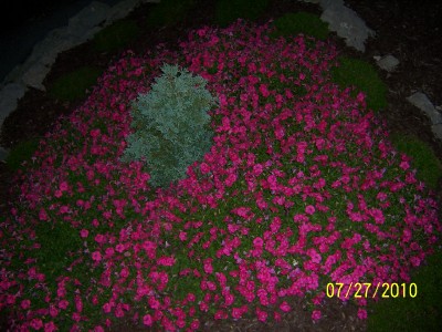 ANASTASIA, PAVILION, New York