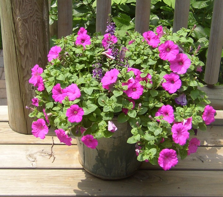 Helen, Walker, Minnesota