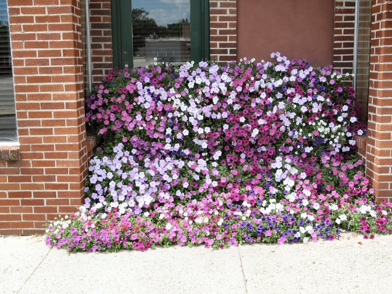 Darrel, Marshalltown, Iowa