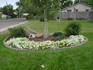 Brenda, Scottsbluff, Nebraska
