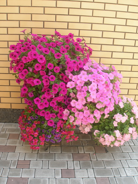 Natali, ?????????, Ukraine