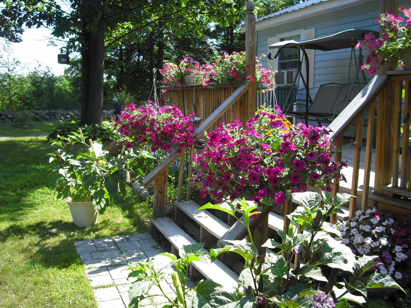 Steven, Crown Point, New York