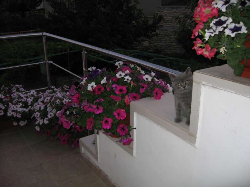 Jeny, Sofia, Bulgaria