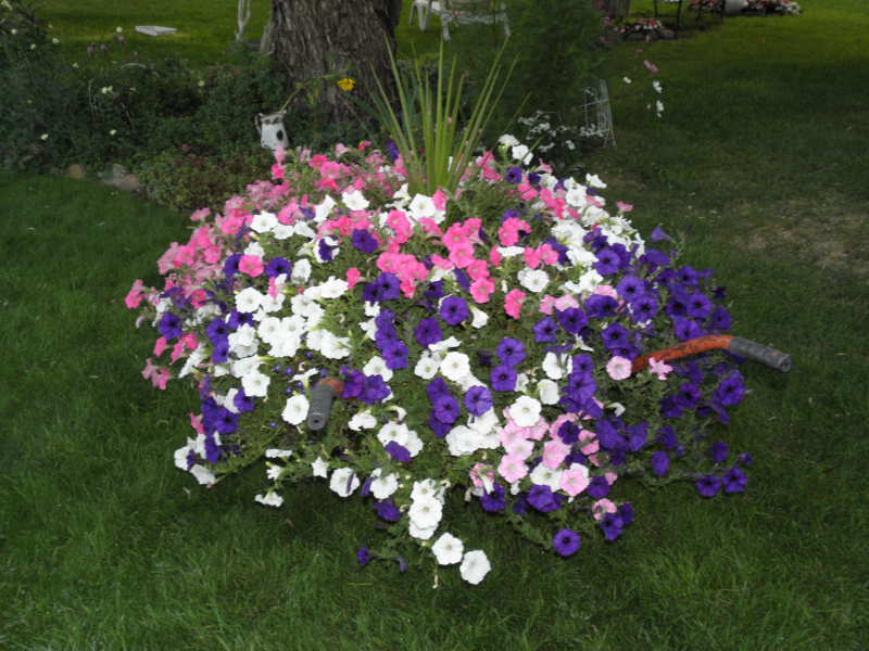 Blanca, Anderson, Indiana