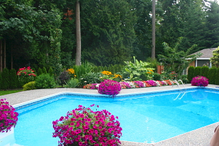 Barb, Surrey, British Columbia