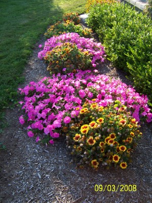 ANASTASIA, PAVILION, New York