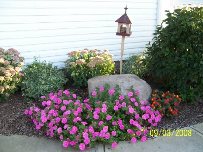 ANASTASIA, PAVILION, New York