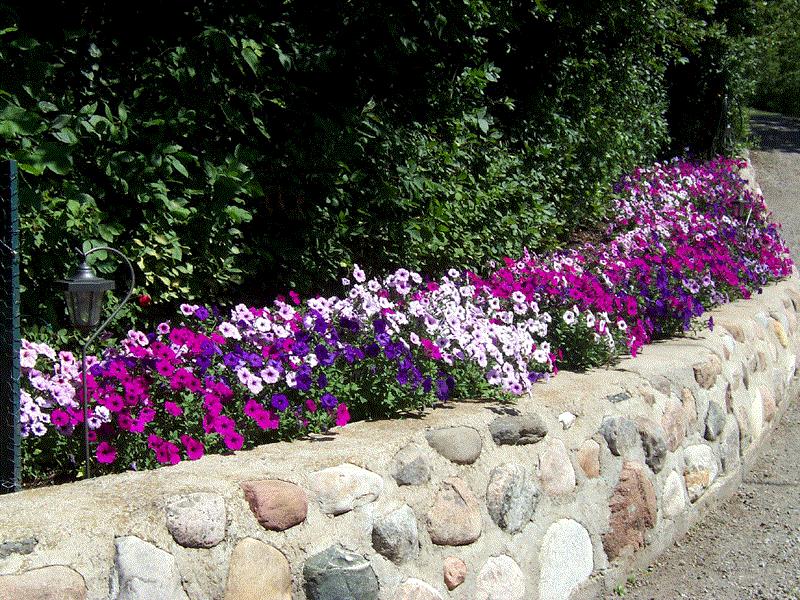Brenda, Last Mountain Lake, Sask.