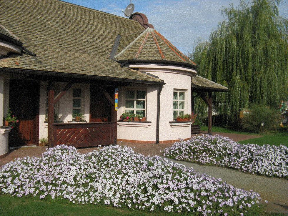 Ivanka, Novi Sad, Serbia